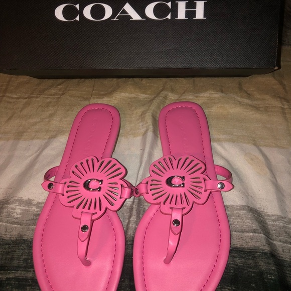 Coach Pink Sandals with Flower Medallion - Picture 1 of 3